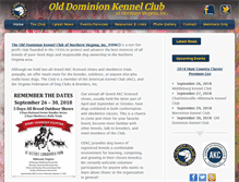 Tablet Screenshot of odkc.org
